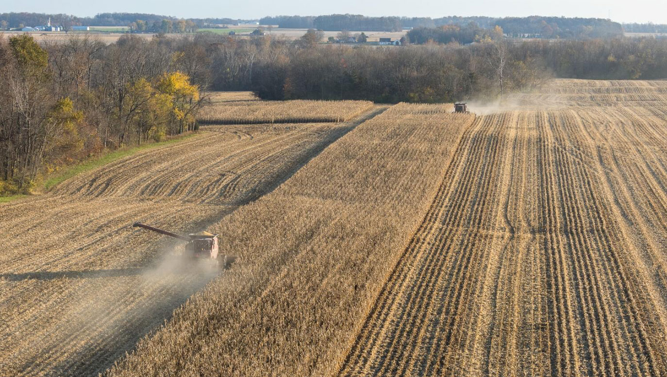 Fansler Farms field view