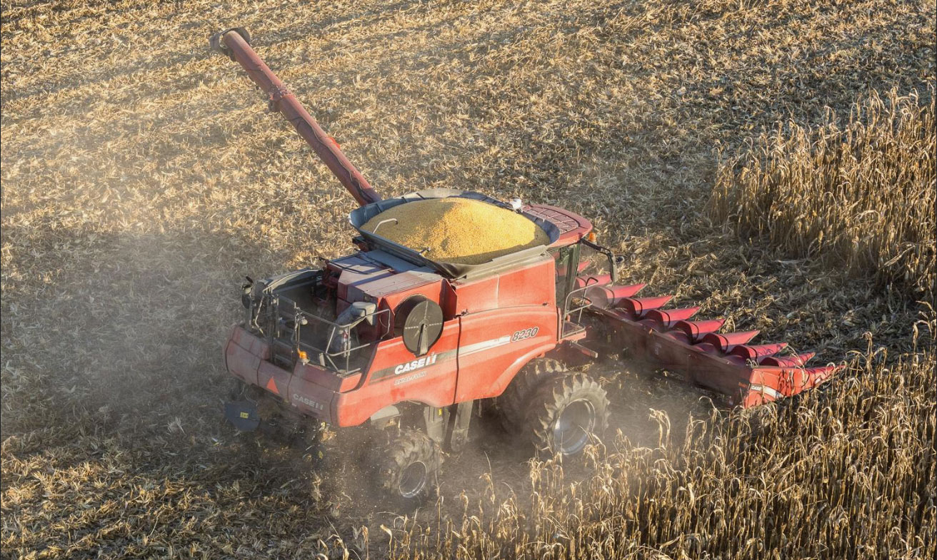 Fansler Farms field view