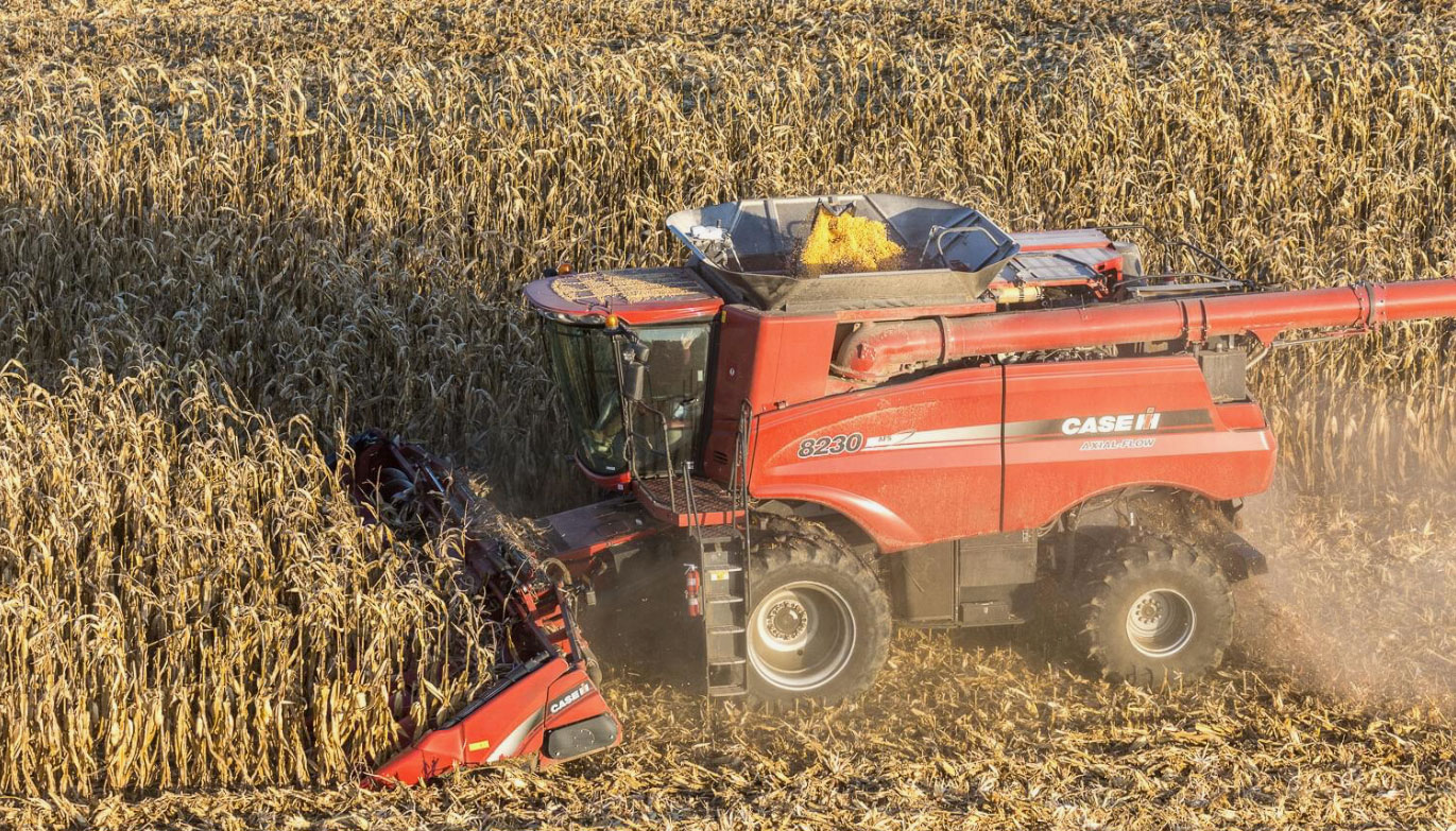 Fansler Farms field view