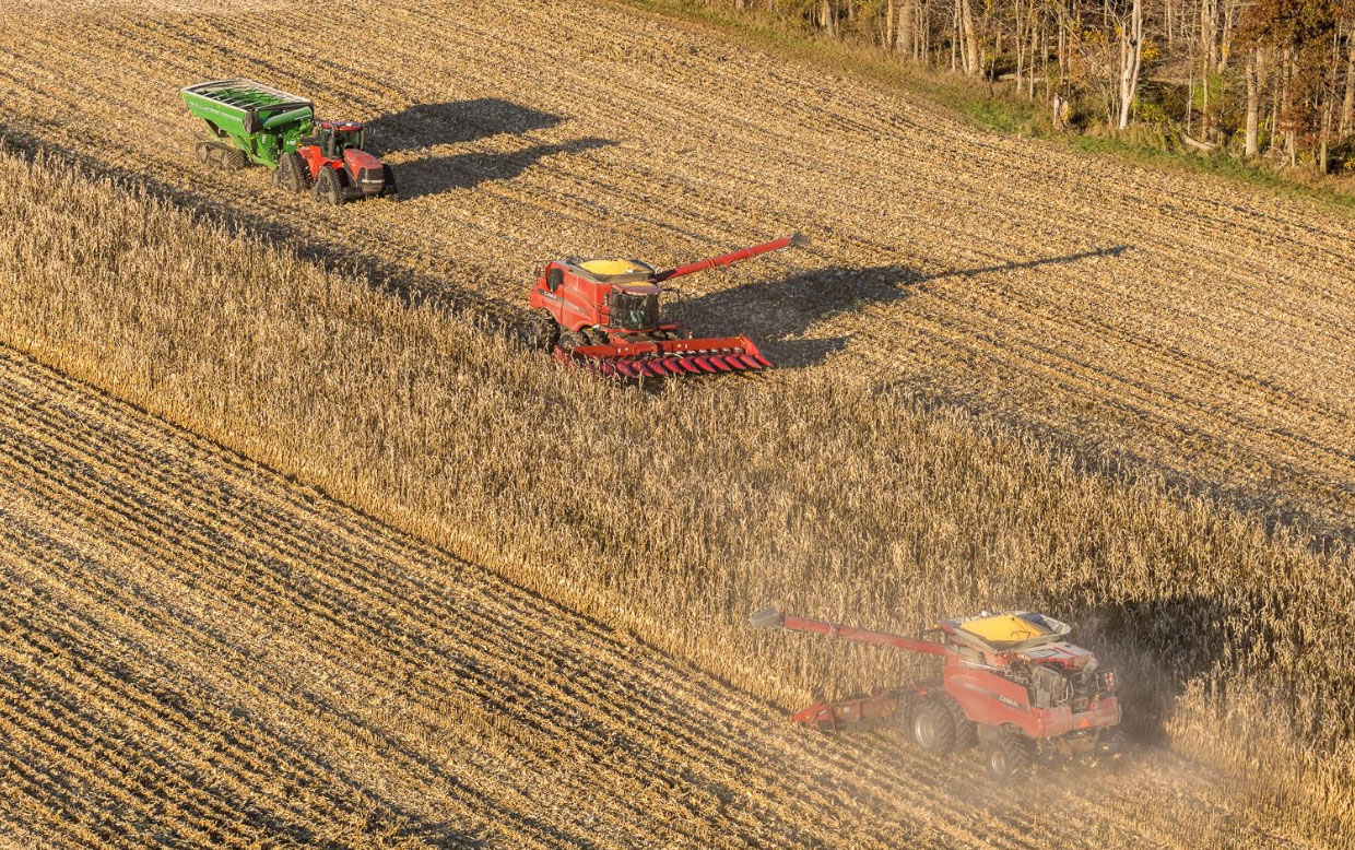 Fansler Farms field view
