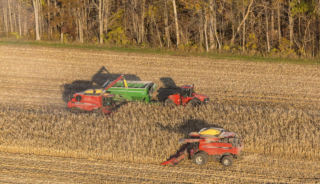 Fansler Farms field view
